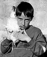 The child and the hen