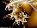 Intricate Spiral