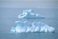 Intricate Bergs