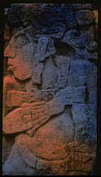 PALENQUE SPECTATOR - photofantasia - Palenque, Mexico