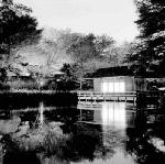 Ft. Worth Japanese gardens at night