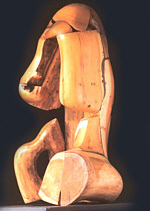 Protegiendo el interior, 52x85x41cm