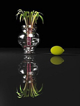 Natura morta in nero con limone (Still Life in Black with Lemon)
