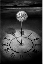 Eleventh Hour