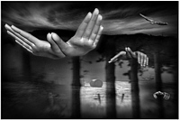 Hand Birds