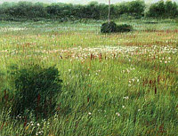 Goose Meadow