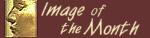 Click here for Image of the Month Winners